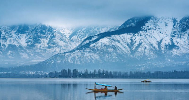 Shikara boats on Dal Lake, Srinagar