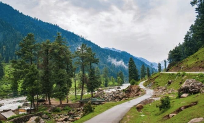 Pine forest road along the Lidder river, Pahalgam