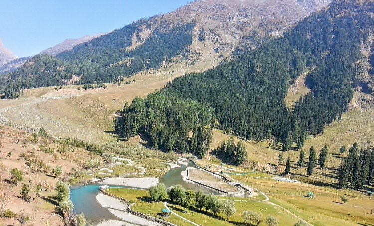 River and pine valley near Sonamarg